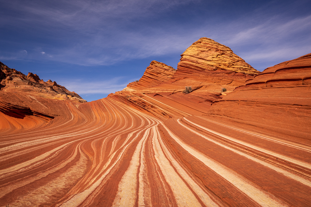 arizona2024