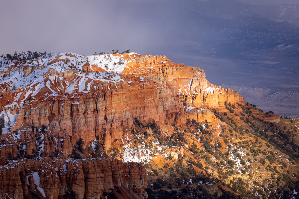 arizona2024
