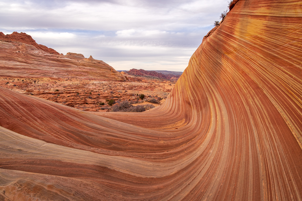 arizona2024
