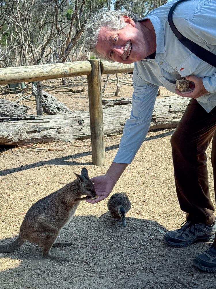 australia2025