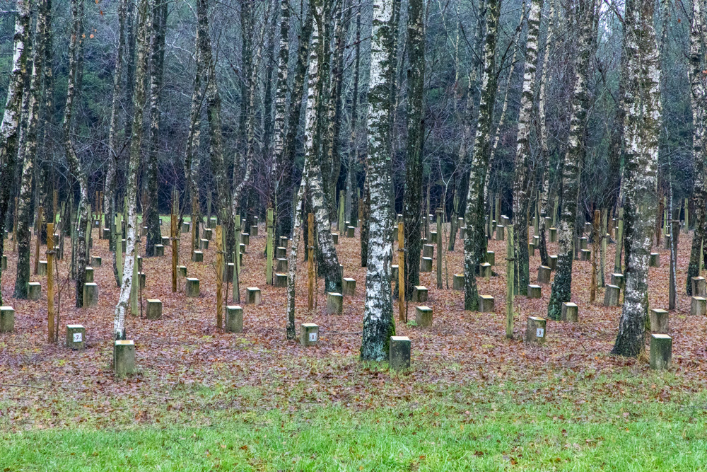 belgium2019