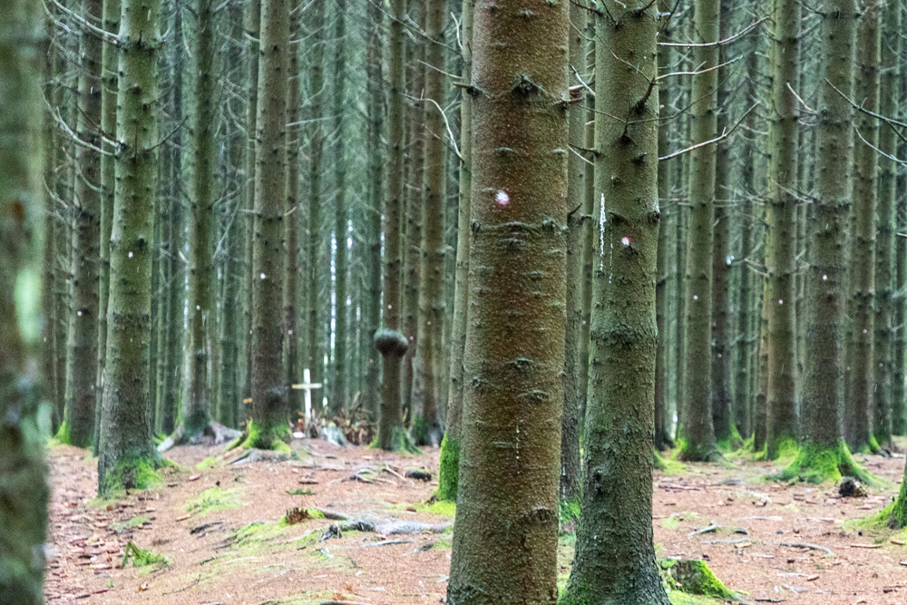 belgium2019
