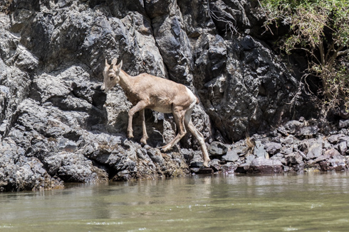 columbisriver2017