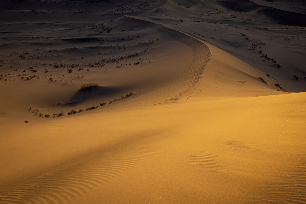 deathvalley2024