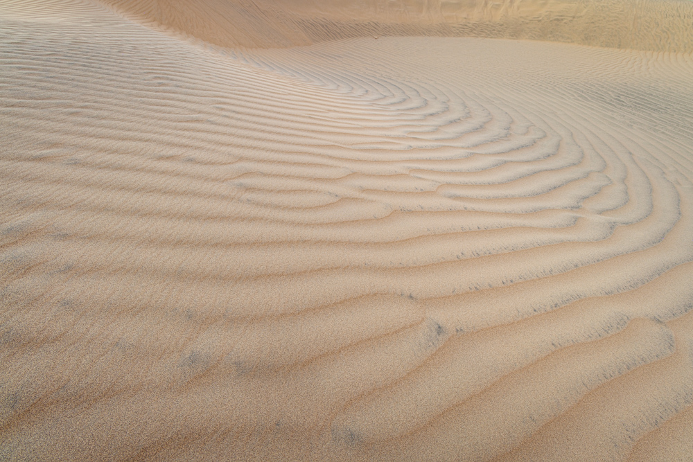 deathvalley2024