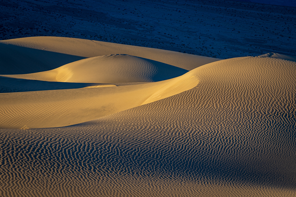 deathvalley2024