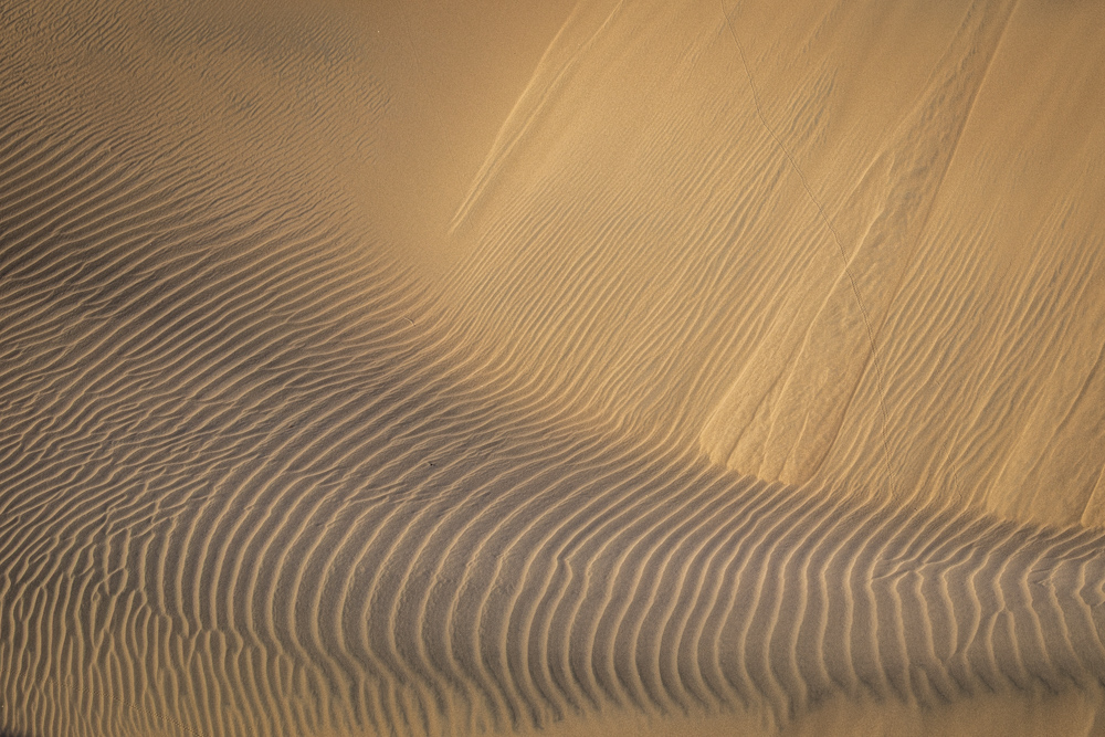 deathvalley2024