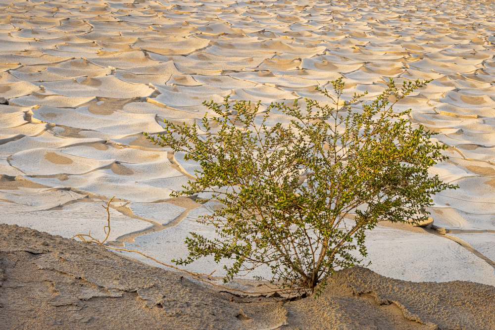 deathvalley2024