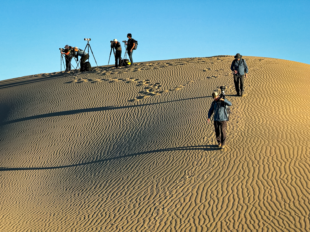 deathvalley2024