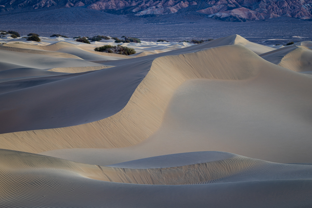 deathvalley2024