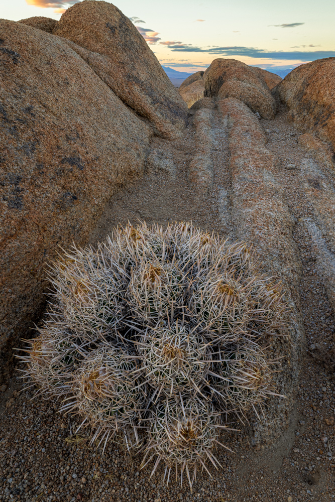 deathvalley2024
