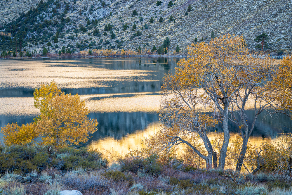 deathvalley2024