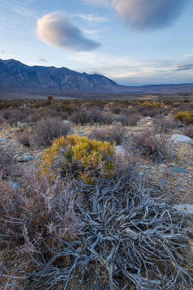 deathvalley2024
