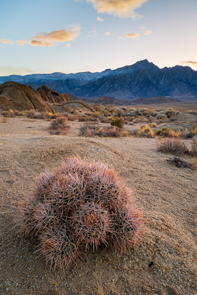 deathvalley2024