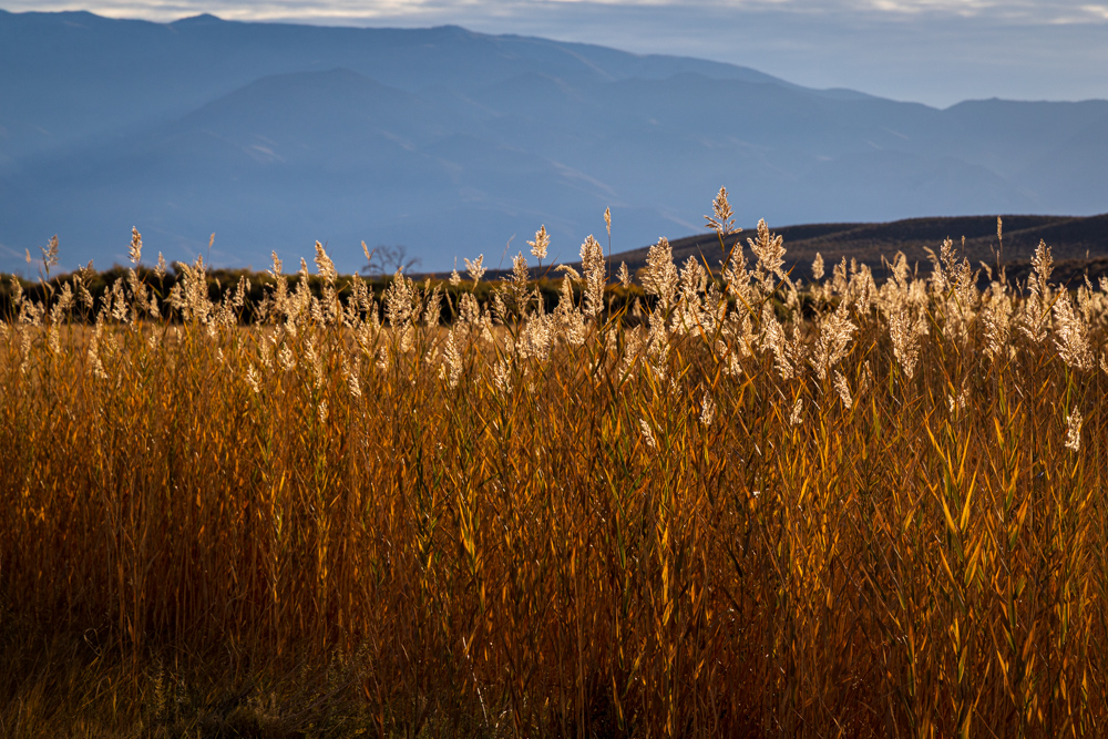 deathvalley2024