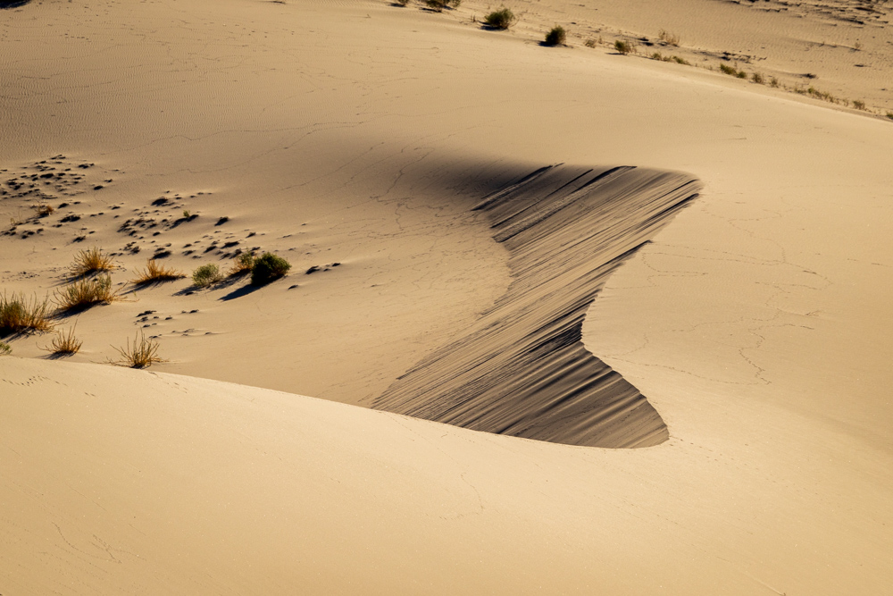 deathvalley2024