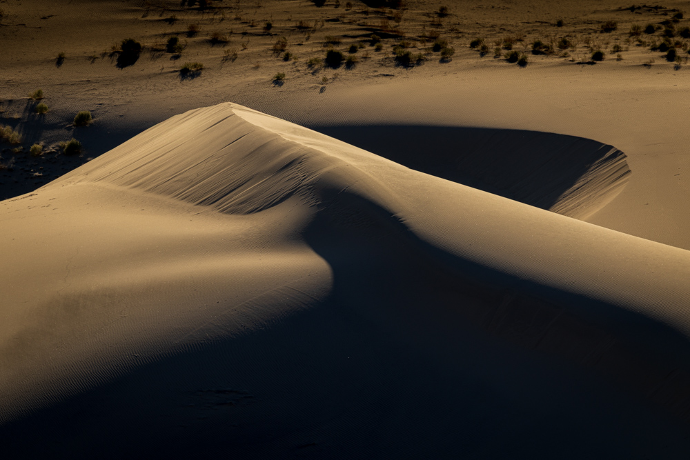 deathvalley2024