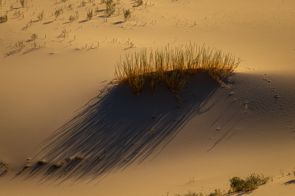 deathvalley2024