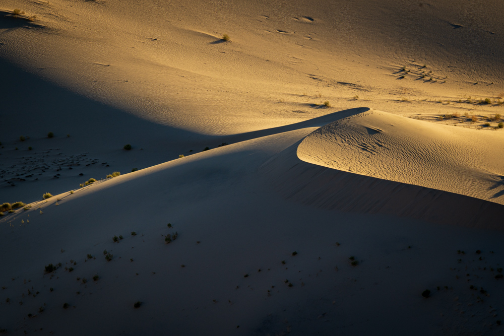 deathvalley2024