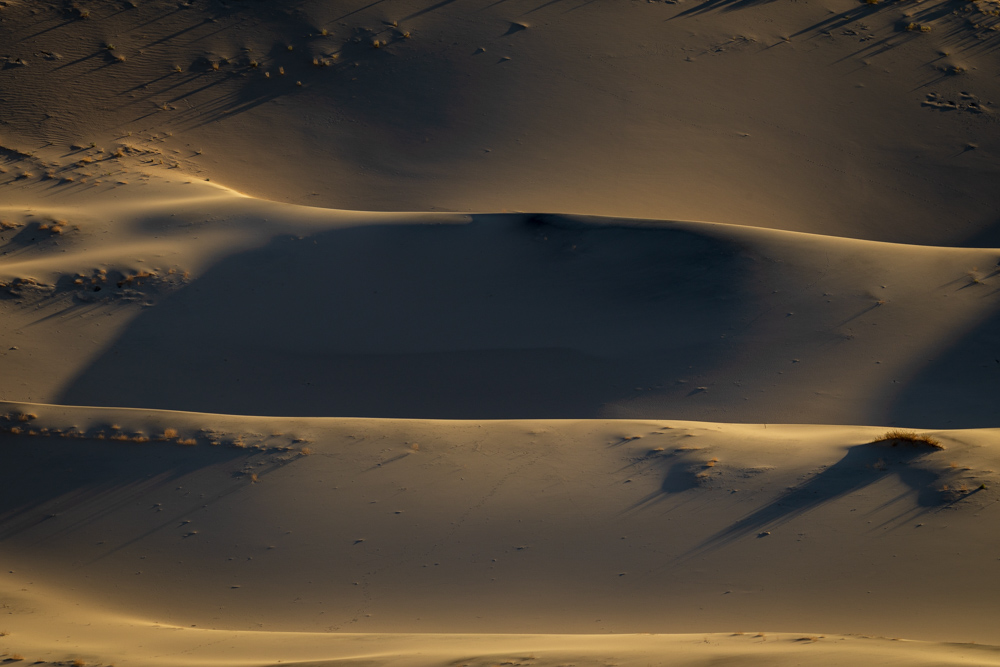 deathvalley2024