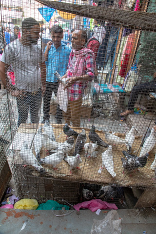 delhi2018