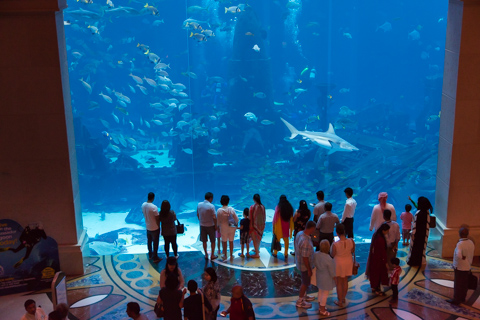 dubai2014