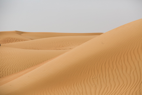 dubai2014