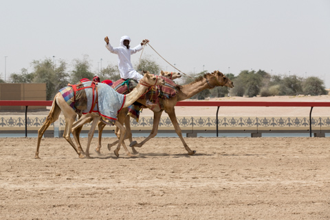 dubai2014