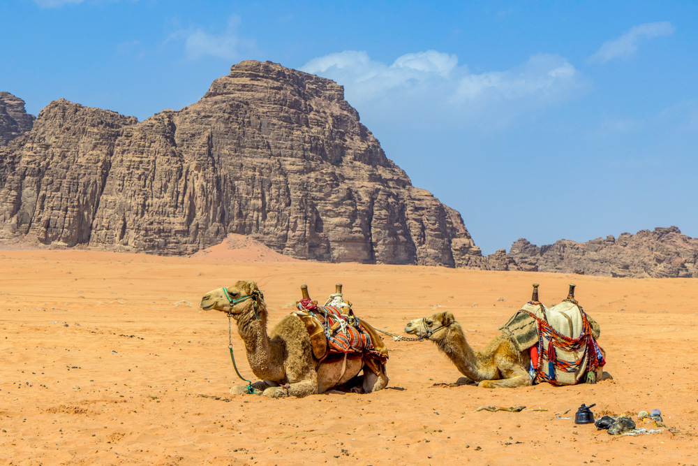egypt2022