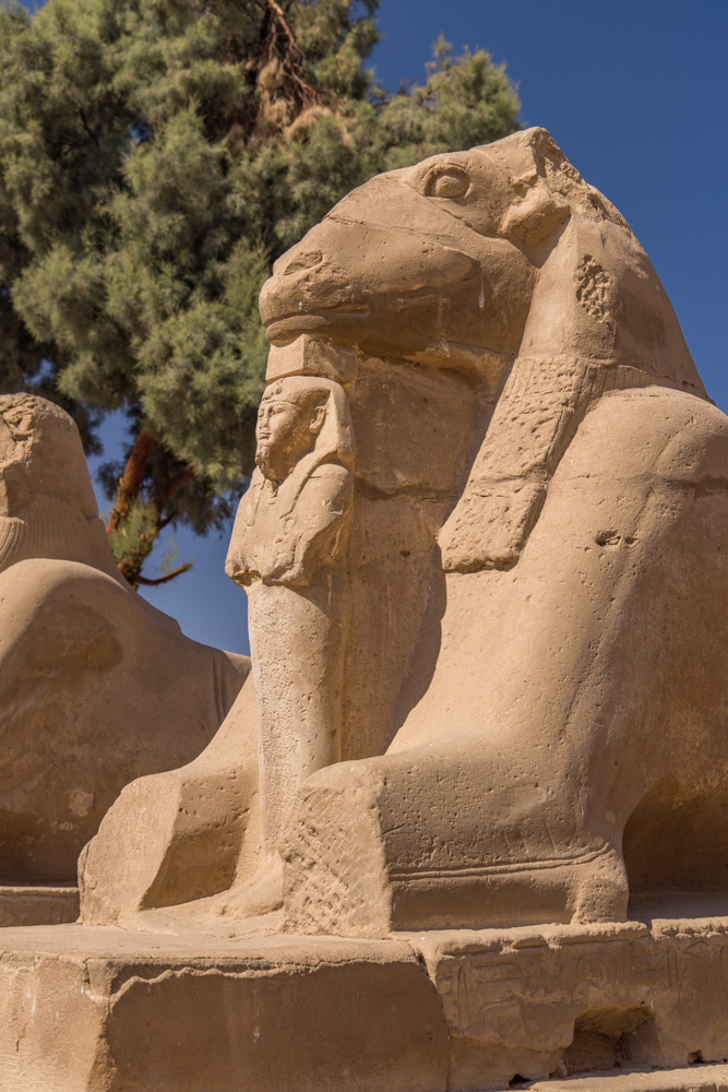 egypt2022