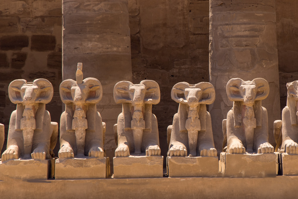 egypt2022