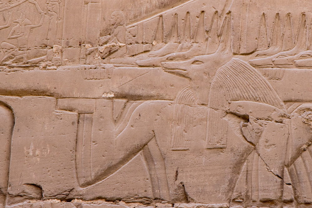 egypt2022