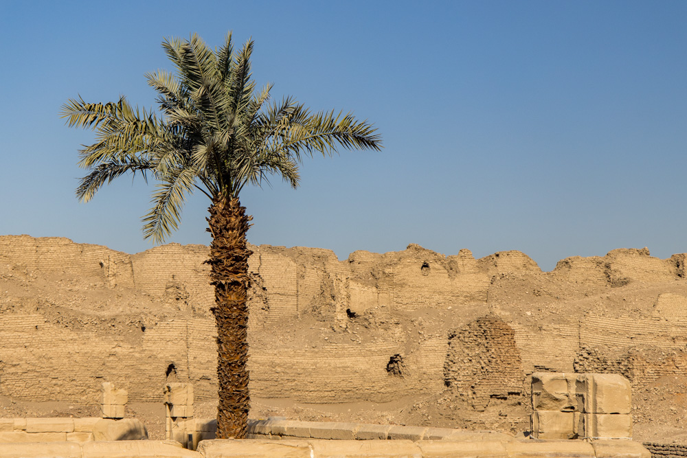 egypt2022