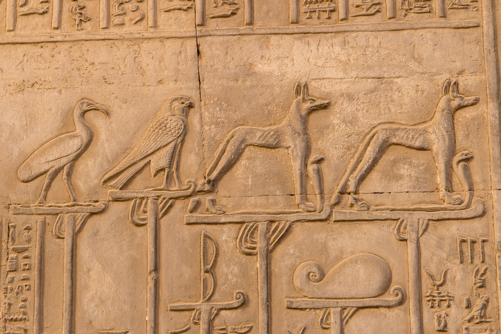 egypt2022