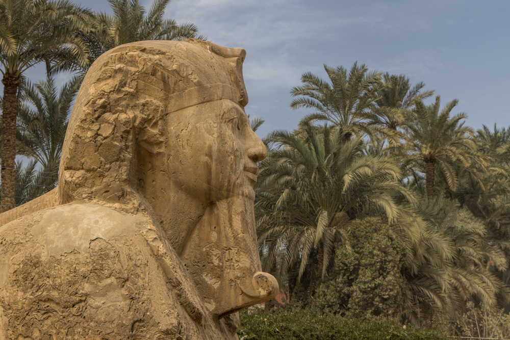 egypt2022