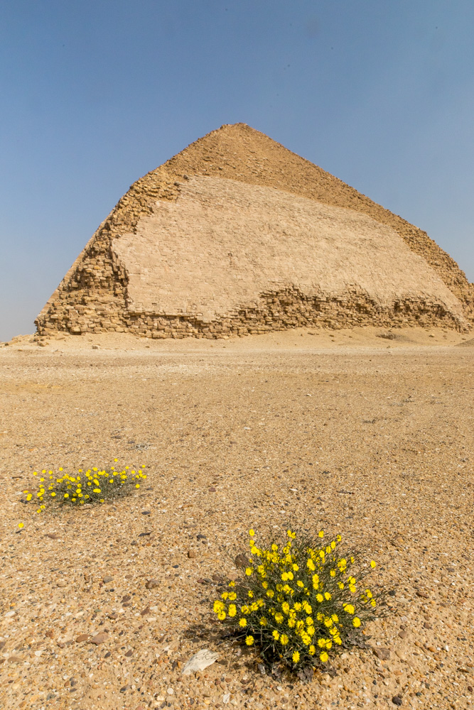 egypt2022