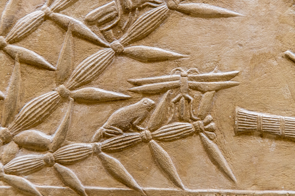egypt2022