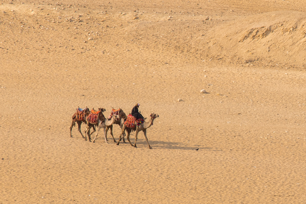 egypt2022