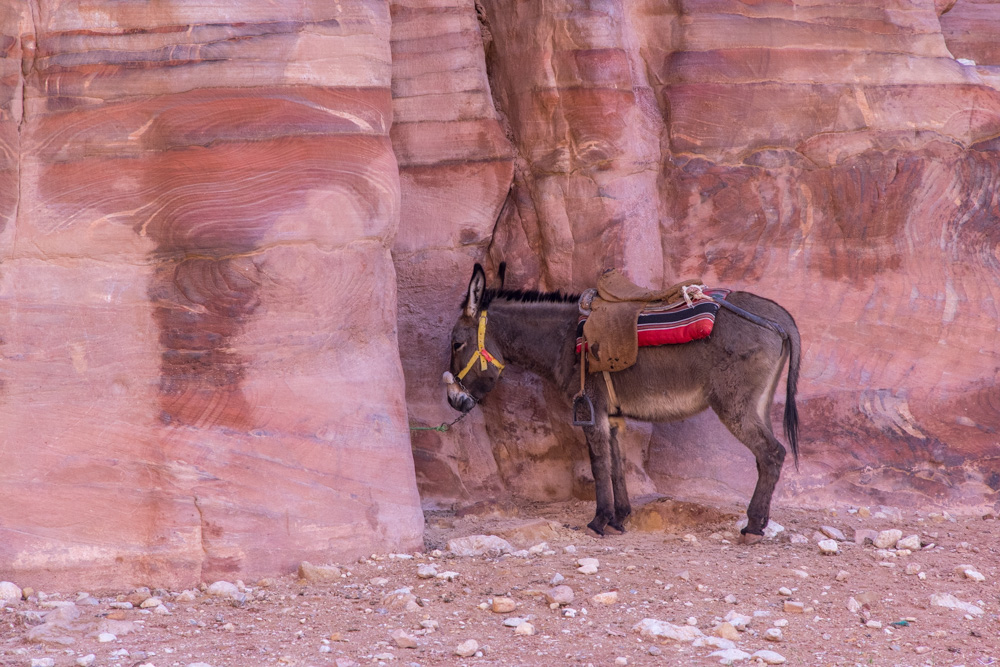 egypt2022