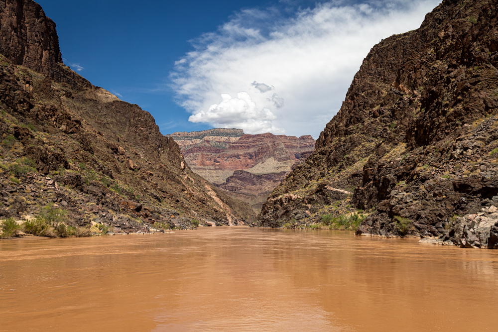 grandcanyon2023