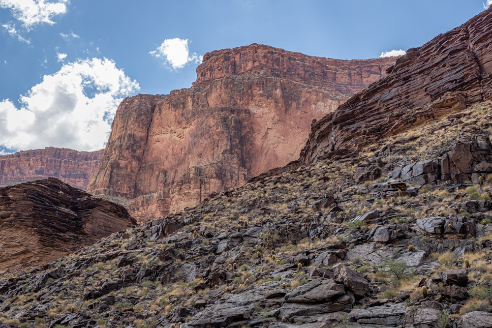 grandcanyon2023