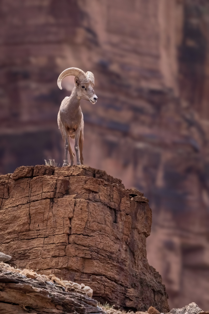 grandcanyon2023