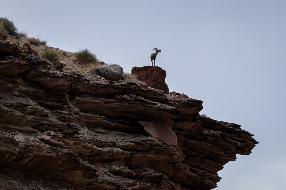 grandcanyon2023