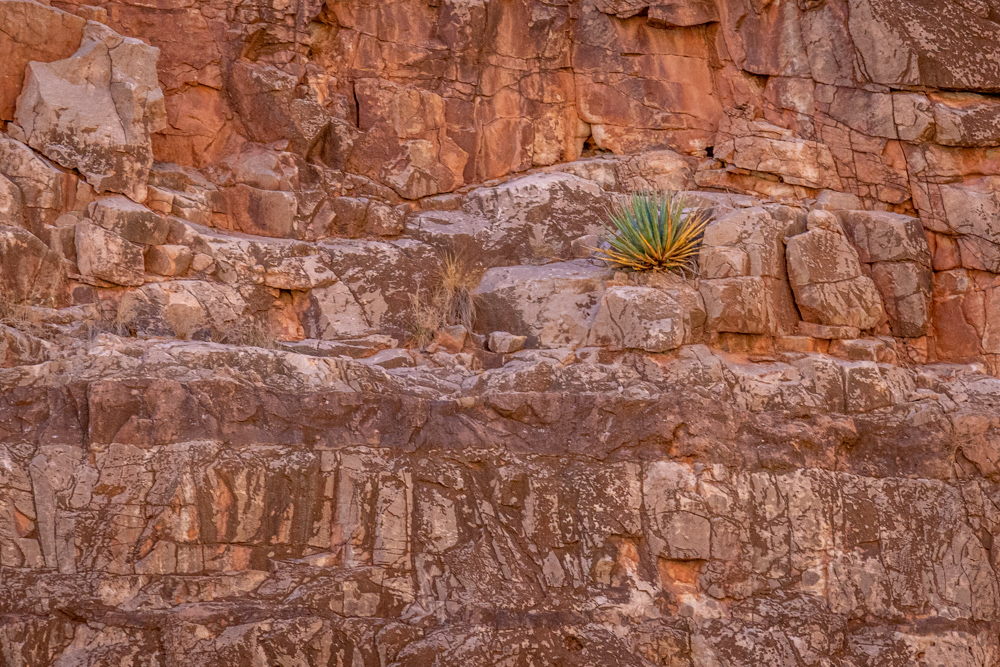 grandcanyon2023