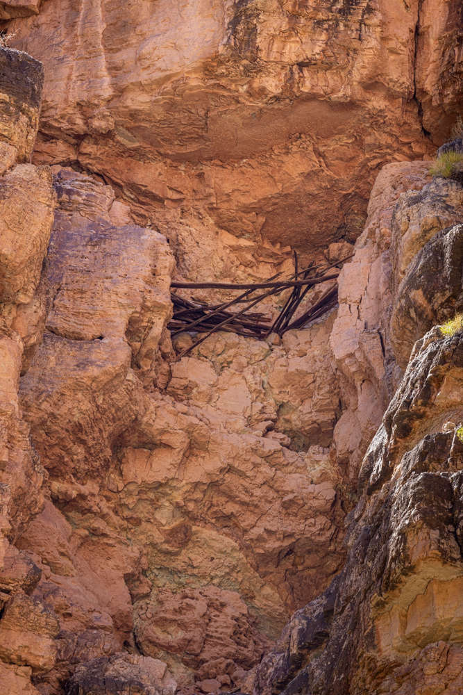 grandcanyon2023