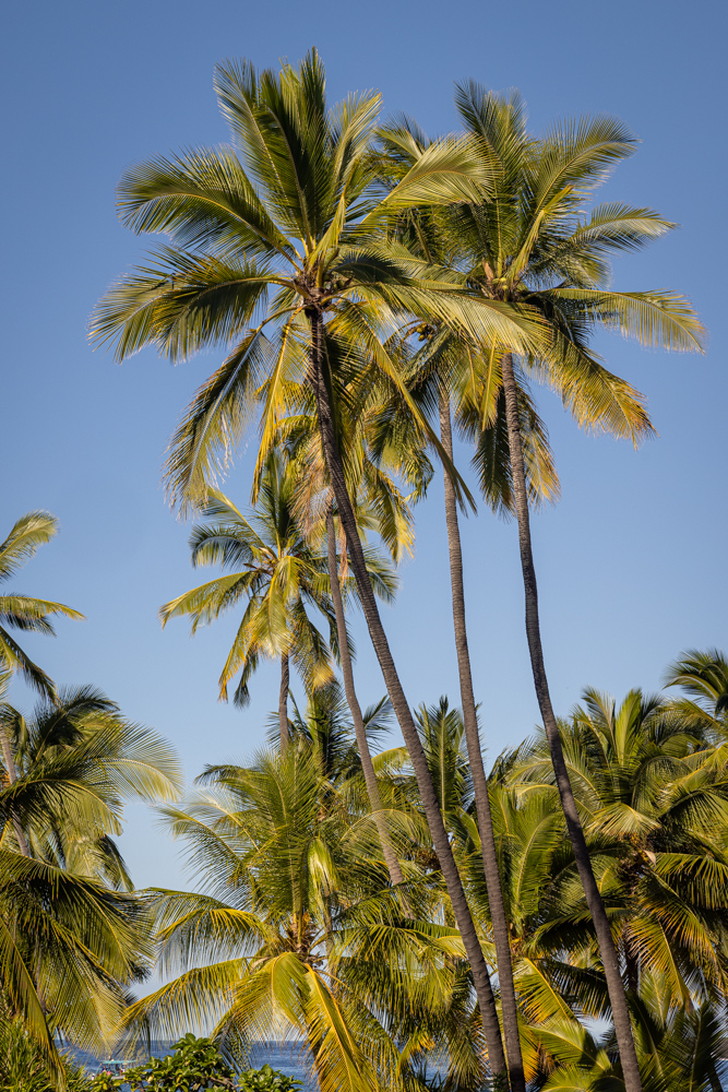 hawaii2023