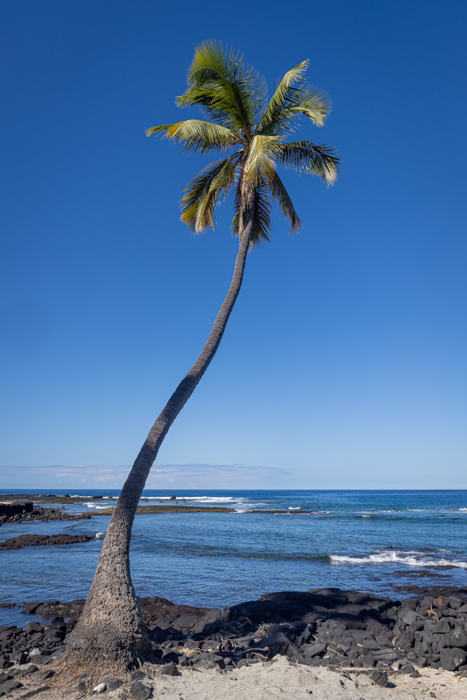 hawaii2023
