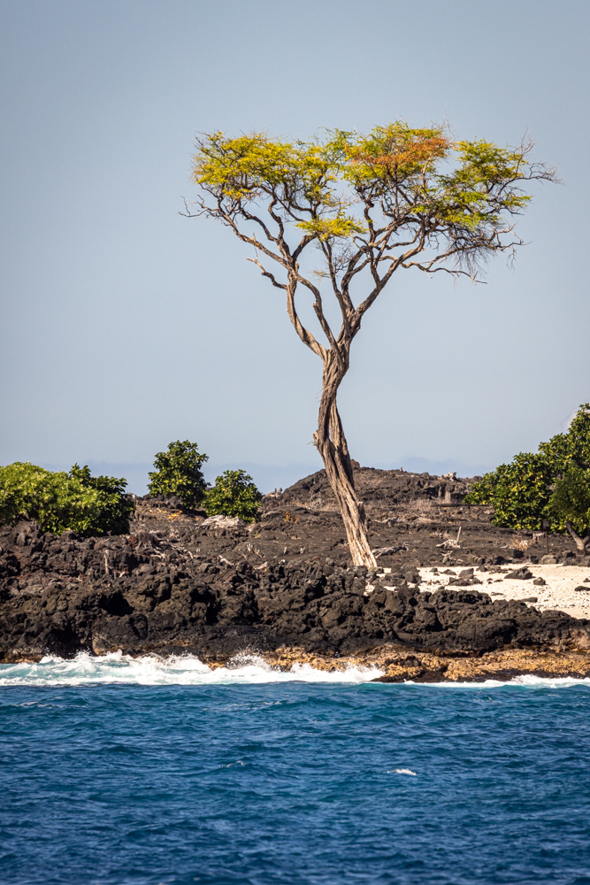 hawaii2023