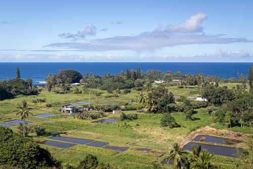 hawaii2023