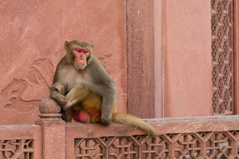 india2015
